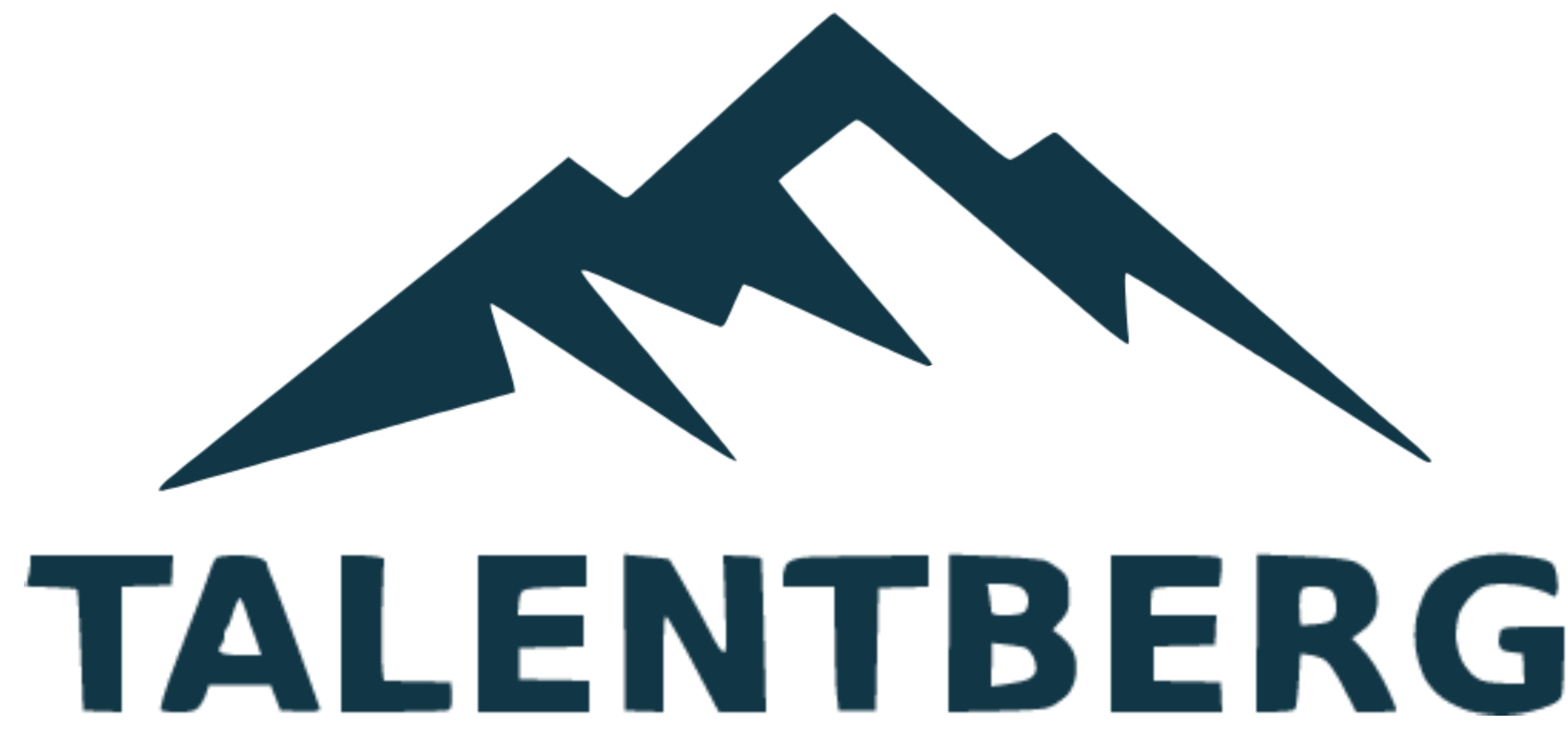 Talentberg Logo